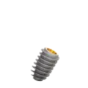 Dental Implant, ROOTT R, D 4.8 mm, L 8 mm.