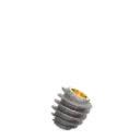 Dental Implant, ROOTT R, D 5.5 mm, L 6 mm.